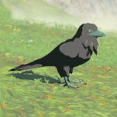 File:TotK Hyrule Compendium Mountain Crow.png