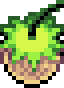A small nut in Minish Village that functions as Grass from The Minish Cap
