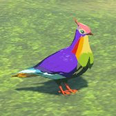 File:TotK Hyrule Compendium Rainbow Pigeon.png