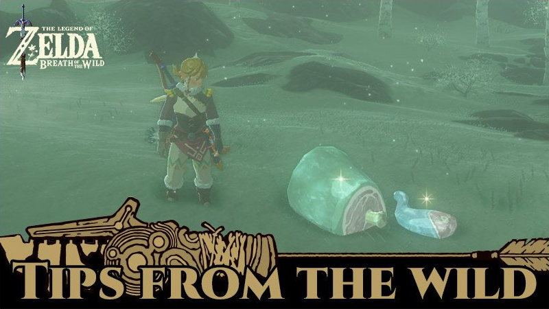 File:BotW Tips from the Wild Banner 08.png