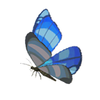 File:BotW Winterwing Butterfly Icon.png