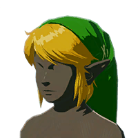 File:HWAoC Hyrule Warrior's Cap Icon.png