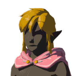 File:TotK Hylian Hood Open Peach Icon.png