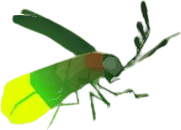 File:BotW Sunset Firefly Model.png