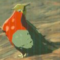 A Hotfeather Pigeon from Breath of the Wild