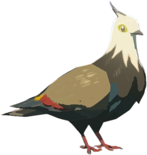TotK Accented Pigeon Model.png