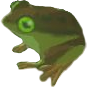 File:BotW Tireless Frog Model.png