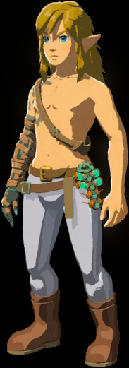 Trousers of Awakening - Zelda Wiki