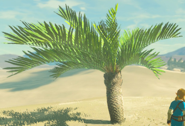 File:BotW Palm Tree Model 2.png