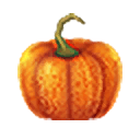 File:HWDE Pumpkin Food Icon.png