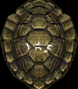 MM3D Marine Research Lab Turtle Shell 2.png