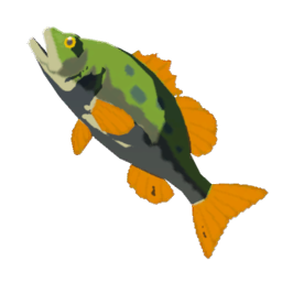 TotK Hyrule Bass Icon.png