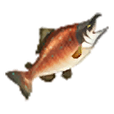 File:HWDE Reekfish Food Icon.png