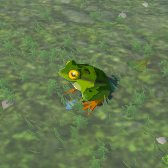 File:TotK Hyrule Compendium Hot-Footed Frog.png