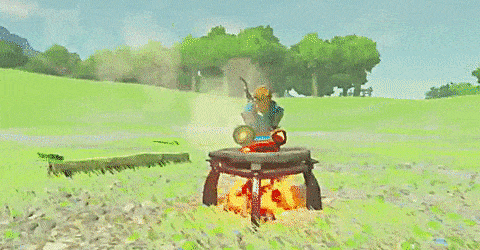 File:BotW Link successful cooking.gif