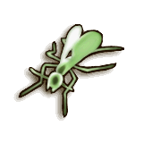 TPHD Male Ant Icon.png