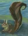 File:BotW Bushy-Tailed Squirrel Model.png