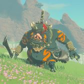 Category:Images of Blue Boss Bokoblin - Zelda Wiki