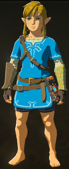 Champion's Tunic - Zelda Wiki