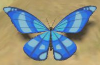 BotW Winterwing Butterfly Model.png