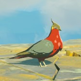 TotK Hyrule Compendium Hotfeather Pigeon.png