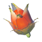 BotW Voltfruit Icon.png