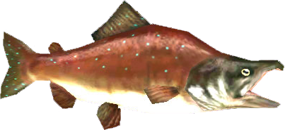 File:TP Reekfish Model.png