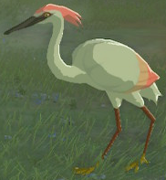 BotW Pink Heron Model.png