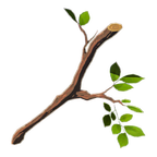 BotW Tree Branch Icon.png