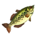 File:HWDE Hyrule Bass Food Icon.png