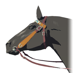 TotK Stable Bridle Icon.png