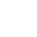 File:TotK Shields Icon.png