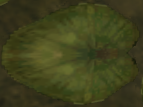 File:TPHD Lily Pad Model.png