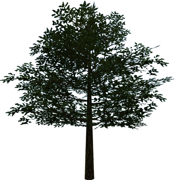 File:OoT3D Tree Model.png