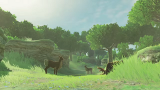 BotW E3 Trailer Forest Area.png