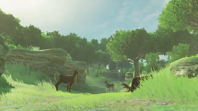 Carte Deer