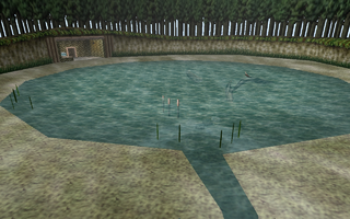 Fishing Hole screenshot from Ocarina of Time