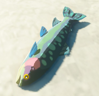 TotK Chillfin Trout Model.png