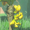 170 Mighty Bananas