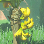 BotW Hyrule Compendium Mighty Bananas.png