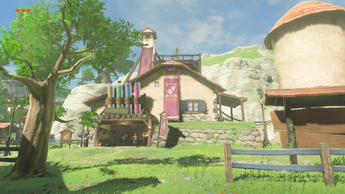 Kochi Dye Shop Zelda Wiki