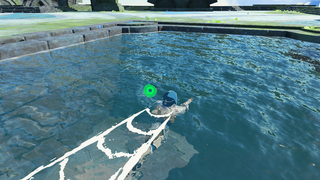 Swimming screenshot from Tears of the Kingdom