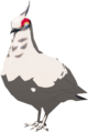 White Pigeon