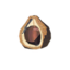 BotW Chickaloo Tree Nut Icon.png