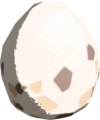 Bird Egg