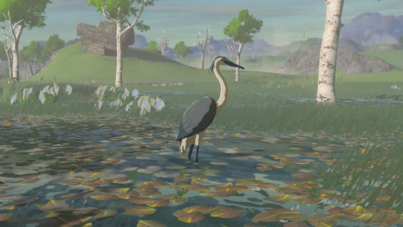 File:TotK Hyrule Compendium Blue-Winged Heron Picture.png