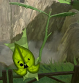 A Korok resembling Drona from Breath of the Wild