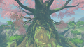 Great Deku Tree