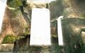 The waterfall in Zora's Domain from Twilight Princess