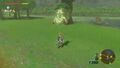 Hestu at Riverside Stable from Breath of the Wild